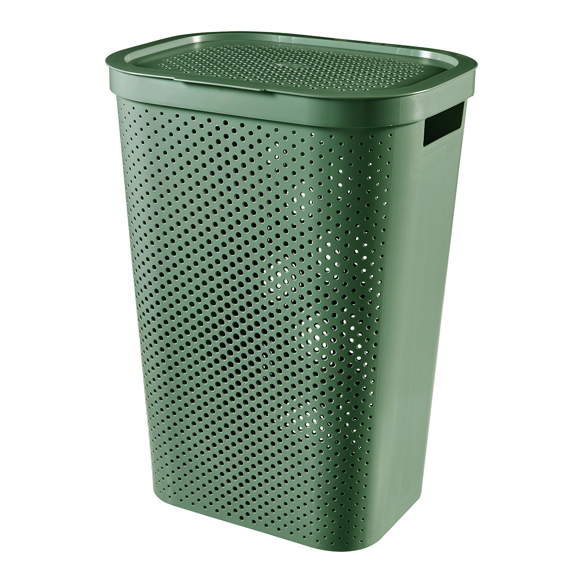 CURVER WASBOX 60 L GROEN DOTS RECYCLED - 3253924754185 - 529769